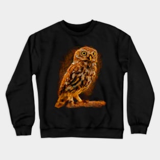 Big-eyed owl, owl symbol of wisdom Crewneck Sweatshirt